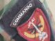 Commando Patch ANA