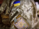 NATO training partner nations