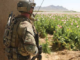 SOF Soldier in Afghanistan