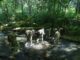 Members of 1st Special Forces Group conduct a stream crossing during the 60th Anniversary "Living History Training Event" held June 2017 (Photo MAJ Alexandra Weiskopf, 1st SFGA)