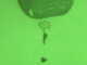 National Airborne Day 2018 video U.S. Army 2018