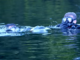 SARC video - Special Amphibious Reconnaissance Corpsman