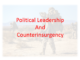 Political Leadership and COIN Campaigns