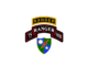 Regimental Military Intelligence Battalion