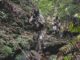 1st SFG(A) Jungle Warfare Exercise