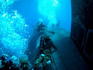Navy SEALs Diving