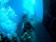 Navy SEALs Diving