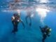 10th SFG Dive in Mediterranean Sea