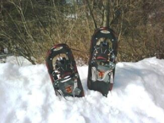 Winter Vacation