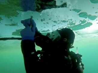 Ice Diver