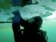 Ice Diver