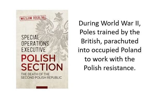 Book Review Special Operations Executive Polish Section