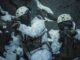 SOF in Arctic Edge 23