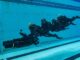 SEALs Operate Submarine Propulsion Vehicle