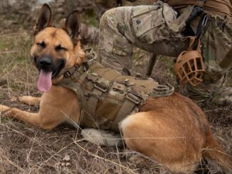 MWD 10th SFG(A)