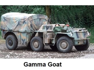 Gamma Goat