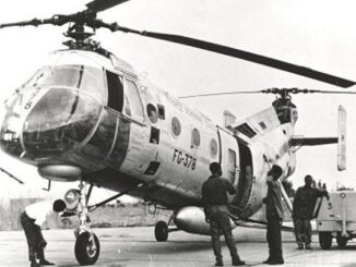 FG-378 Flying Banana