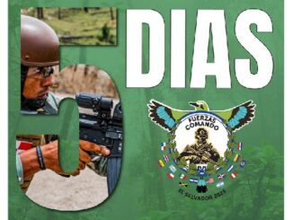 Fuerzas Comando 2025