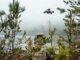 Swedish K3 Ranger Operates Drone