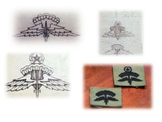 Military Freefall Badge Original Design