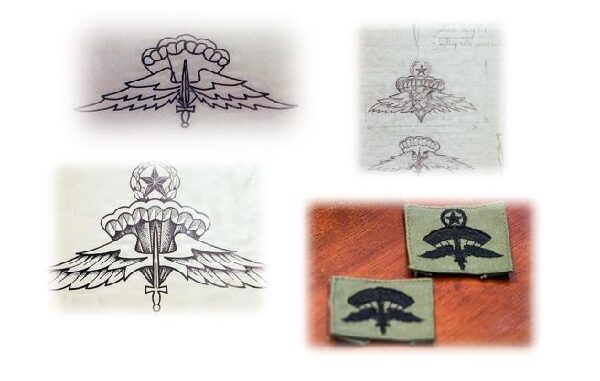 Military Freefall Badge Original Design