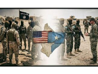 Ignoring Al-Shabaab