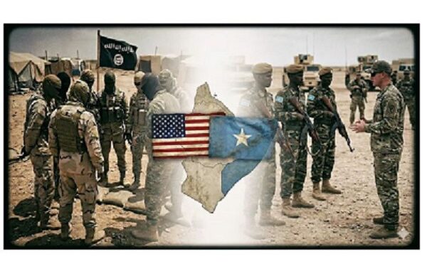 Ignoring Al-Shabaab